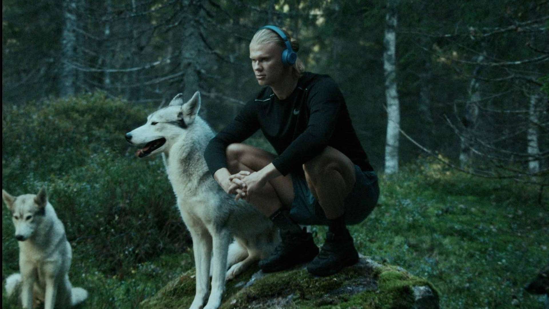 的身体素质 的身体素质